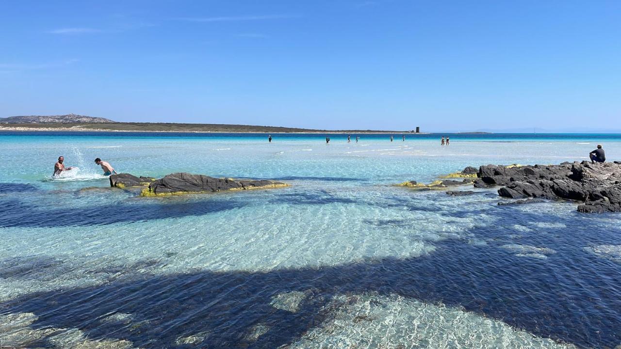 I Pescatori Di Stelle-L12 Altair Villa Stintino Dış mekan fotoğraf