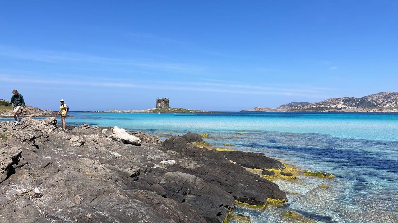 I Pescatori Di Stelle-L12 Altair Villa Stintino Dış mekan fotoğraf