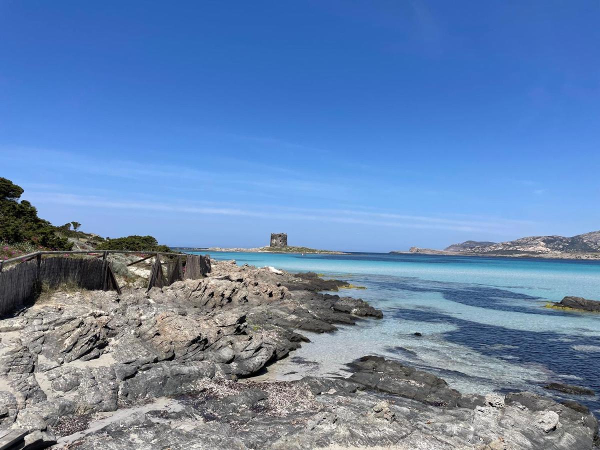 I Pescatori Di Stelle-L12 Altair Villa Stintino Dış mekan fotoğraf