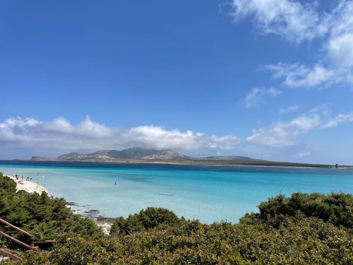 I Pescatori Di Stelle-L12 Altair Villa Stintino Dış mekan fotoğraf