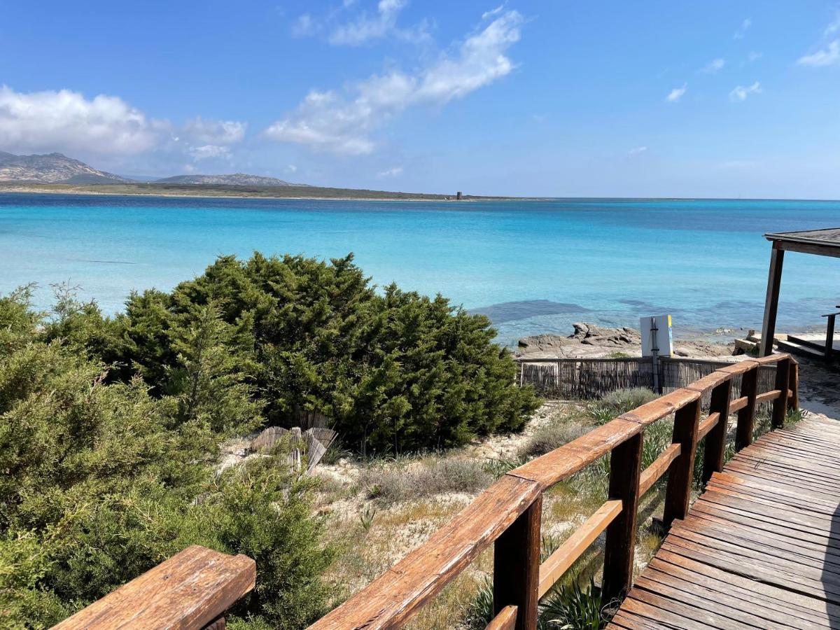 I Pescatori Di Stelle-L12 Altair Villa Stintino Dış mekan fotoğraf