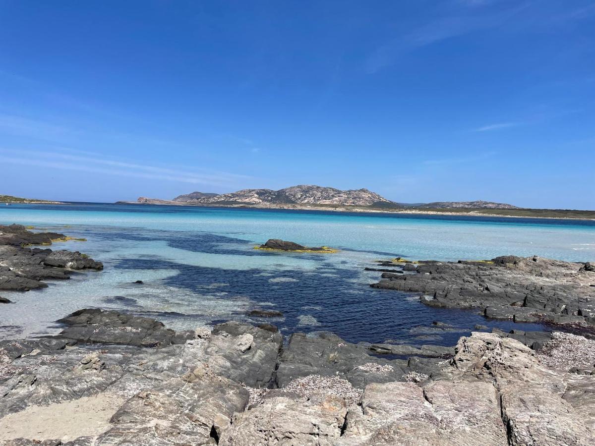 I Pescatori Di Stelle-L12 Altair Villa Stintino Dış mekan fotoğraf