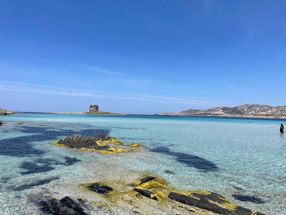 I Pescatori Di Stelle-L12 Altair Villa Stintino Dış mekan fotoğraf